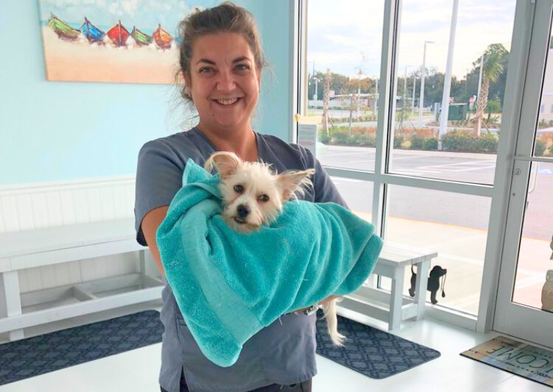 Carousel Slide 5: We love our furry friends!